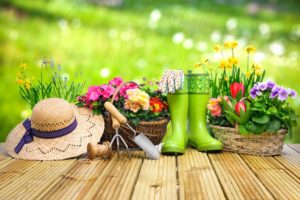 tips to minimize gardening injuries