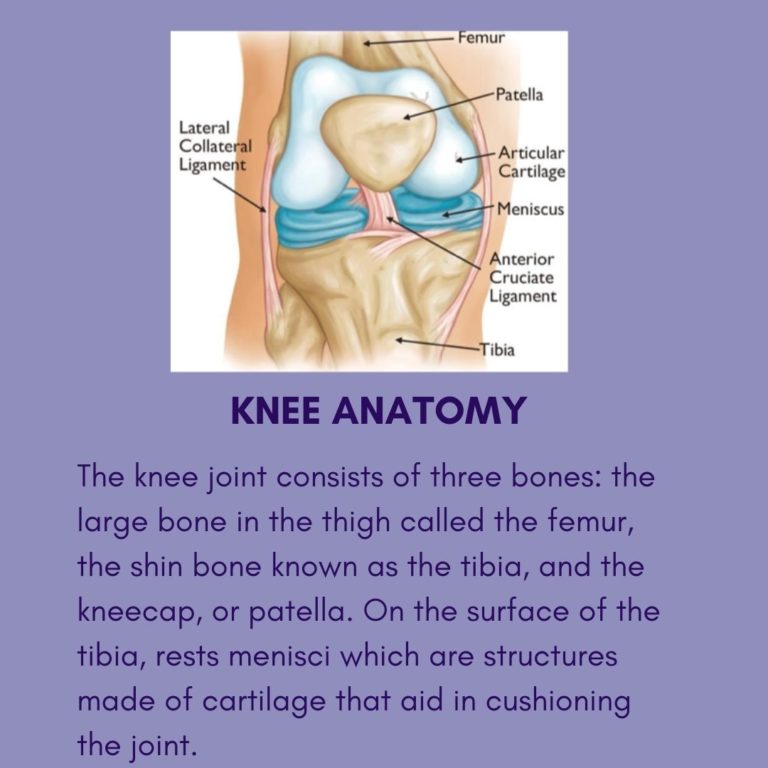 Total Knee Replacement Rehab Fact Sheet Series Above & Beyond